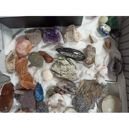 877 - A collection of fossils and semi precious stone samples in metal flight case