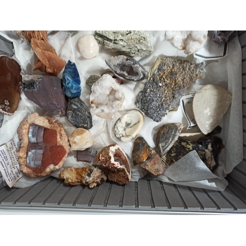 877 - A collection of fossils and semi precious stone samples in metal flight case