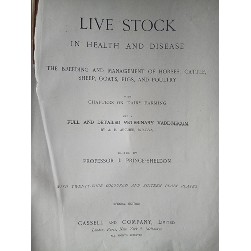 978 - 2 x Antique books, Livestock in health and disease edited by Prof J Prince-Sheldon.Pub Cassell - Spe... 