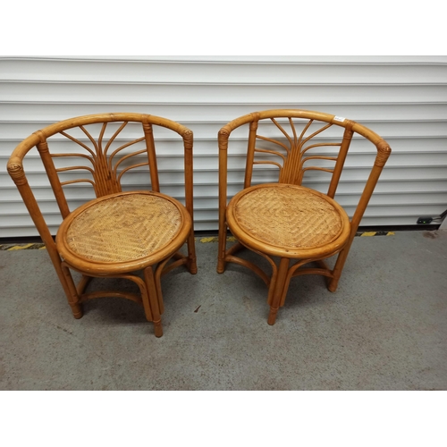 620 - A Pair of Cane and rattan Chairs