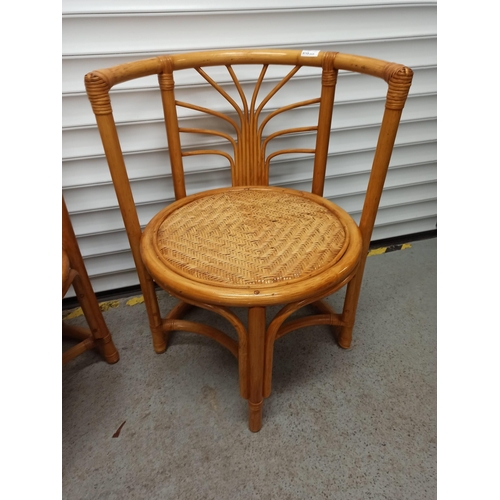 620 - A Pair of Cane and rattan Chairs