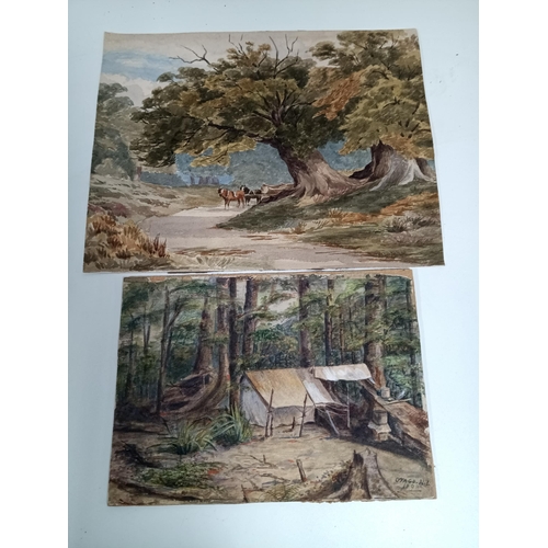 864B - 2 Paintings of New Zealand Logging Camps dated 1892 and 1893