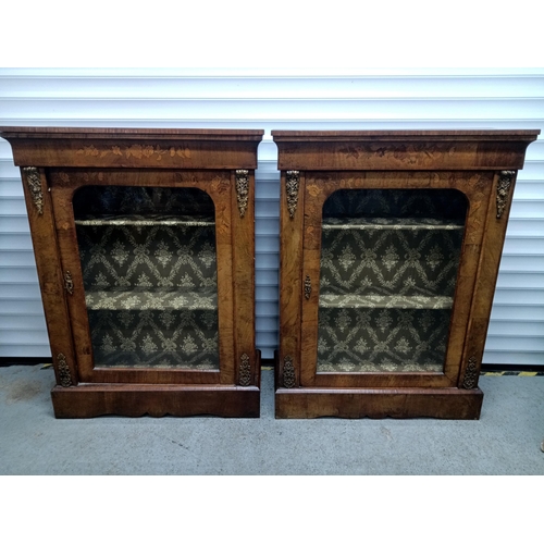 718 - A Pair of Antique Victorian Glazed Inlaid Shelf Units with Cross Cut Veneer