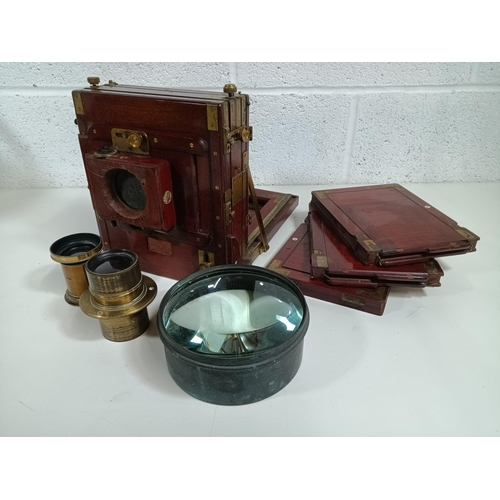 363 - A Thornton & Pickard Antique Tail Board Plate Camera and Leaves Circa 1895