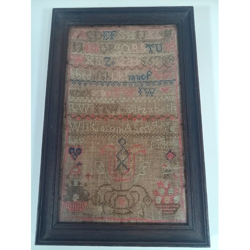 362 - A Framed Tapestry Sampler 1844 - Elizabeth Wilkmso 23 x 36cm in Frame