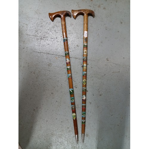 638 - 2 x Alpine Walking Sticks