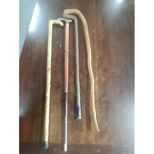 1055 - 4 x Assorted Walking Sticks