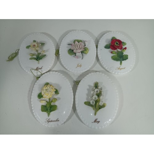 1059 - 5 x Coalport Wall Hanging Flower Plaques (Slight Crazing On August)