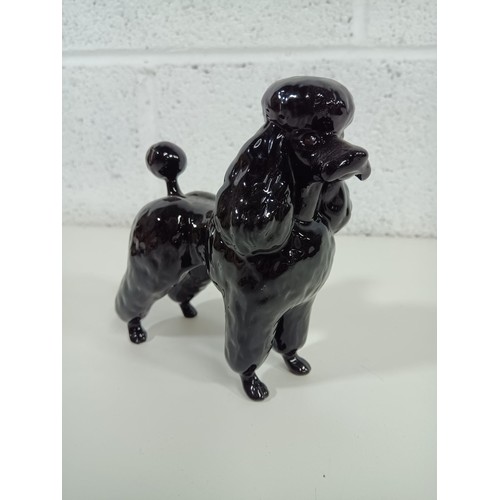 865A - A Large Beswick Black Gloss Poodle Model 2339