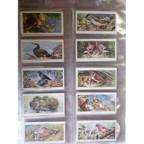 2043 - Category -Birds:  Lea 25 x English Birds, Tuckfields M96 x Australiana Birds Series, Church & Dwight... 