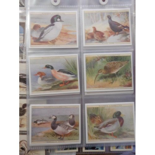 2043 - Category -Birds:  Lea 25 x English Birds, Tuckfields M96 x Australiana Birds Series, Church & Dwight... 