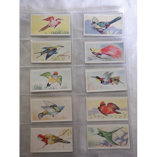 2043 - Category -Birds:  Lea 25 x English Birds, Tuckfields M96 x Australiana Birds Series, Church & Dwight... 