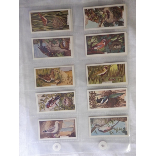 2043 - Category -Birds:  Lea 25 x English Birds, Tuckfields M96 x Australiana Birds Series, Church & Dwight... 