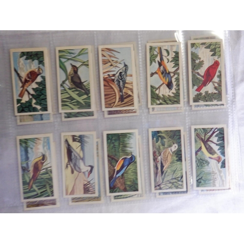 2043 - Category -Birds:  Lea 25 x English Birds, Tuckfields M96 x Australiana Birds Series, Church & Dwight... 