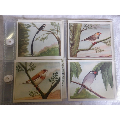 2043 - Category -Birds:  Lea 25 x English Birds, Tuckfields M96 x Australiana Birds Series, Church & Dwight... 