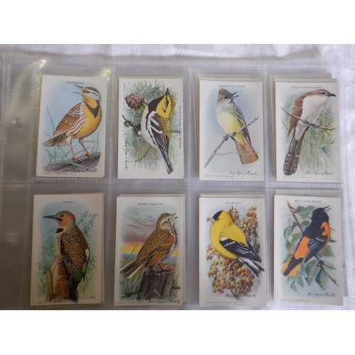 2043 - Category -Birds:  Lea 25 x English Birds, Tuckfields M96 x Australiana Birds Series, Church & Dwight... 