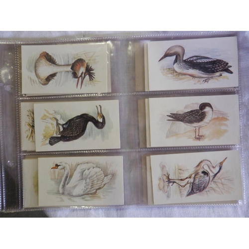 2043 - Category -Birds:  Lea 25 x English Birds, Tuckfields M96 x Australiana Birds Series, Church & Dwight... 