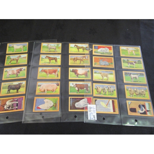 2155 - Category - Flowers,  Animals: , Player M24 x Nature Calendar, Wills 48 x Animalloys, Bassett 50 x Li... 