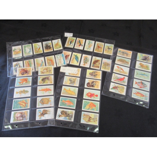 2155 - Category - Flowers,  Animals: , Player M24 x Nature Calendar, Wills 48 x Animalloys, Bassett 50 x Li... 