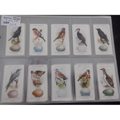 2203 - Category -Birds: Liptons L30 x Birds of Prey Arabic, Carreras 50 x British Birds Black Cat & Packet,... 