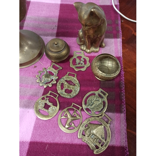 339 - A Selection Of Brass, Including Horse Brasses, Oil lamp, A cat & More.