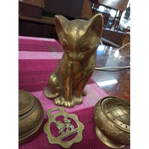 339 - A Selection Of Brass, Including Horse Brasses, Oil lamp, A cat & More.