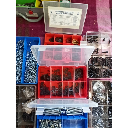 136 - A Box Of Assorted Screws, Bolts, Allen Screws, Washers & More