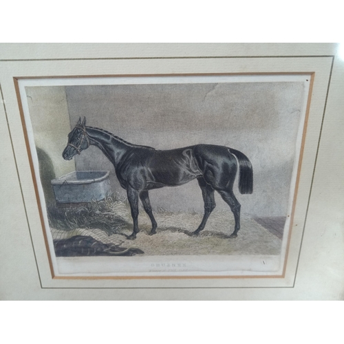 331K - 2 x Framed Antique Horse Racing Coloured Engravings. Ghuzne -Winner of the Epsom Oaks 1841 and Decep... 