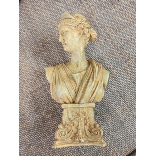 524B - A Resin Bust Of Athena 32cm H.