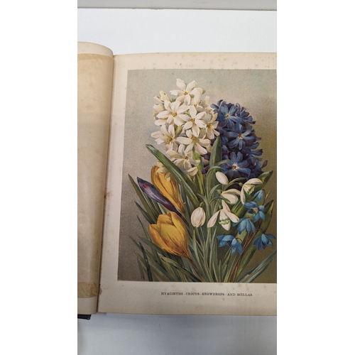 526 - The Flower Growers Guide with Coloured Illustrations