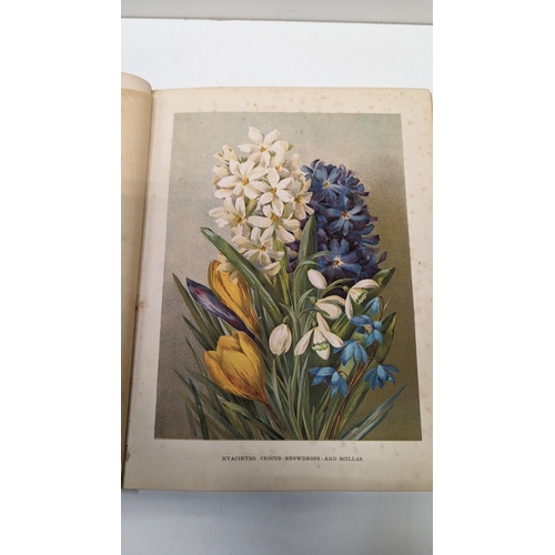 526 - The Flower Growers Guide with Coloured Illustrations