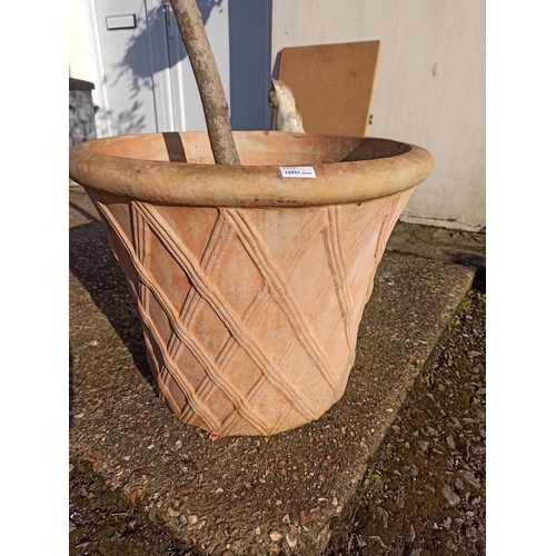 9 - A Olive Tree In A Terracotta Patterned Pot.  1m 80cm Height Pot and Tree, Diameter 60cm