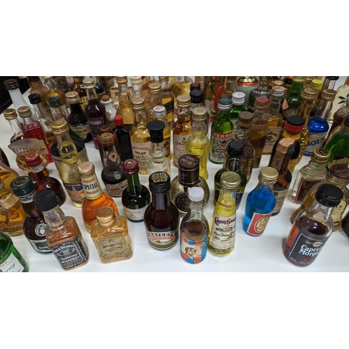 429 - A Large Quantity Of Miniature Spirit & Liqueur Bottles.(Some opened/empty)