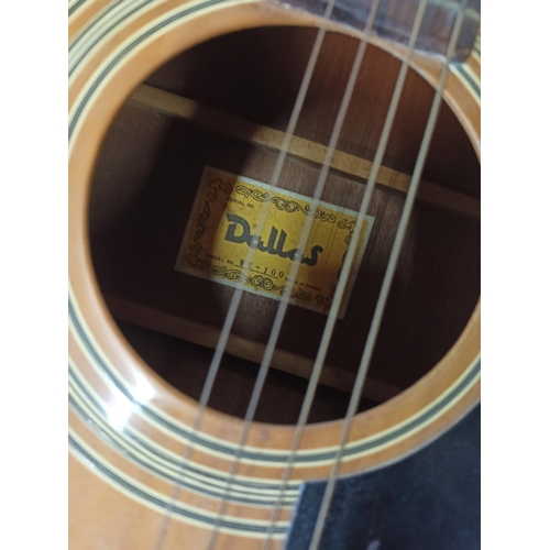 220 - Dallas 12 String Accoustic Guitar In Case (Zip has come unstitched)