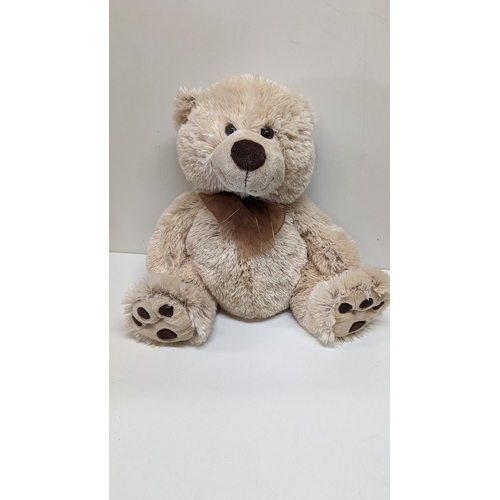 1078B - A Paws Bear Teddy Bear