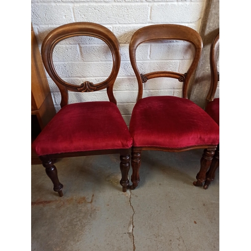 569 - 4 x Antique Balloon Back Chairs