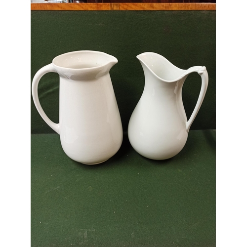 1020 - A Pair of Large Water Jugs including Meakin