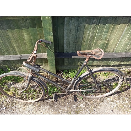 ladies push bike with basket