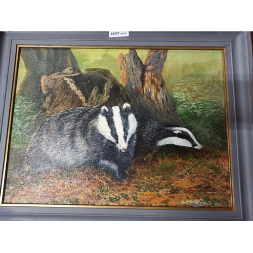 1309 - 2 x Original paintings - Oil On Board Badgers And Otter. By A.W.Arnold  81 & 89