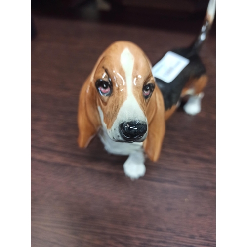 1085 - A Beswick Basset, No Visible Cracks Or Chips.
13cm H x 23cm L.