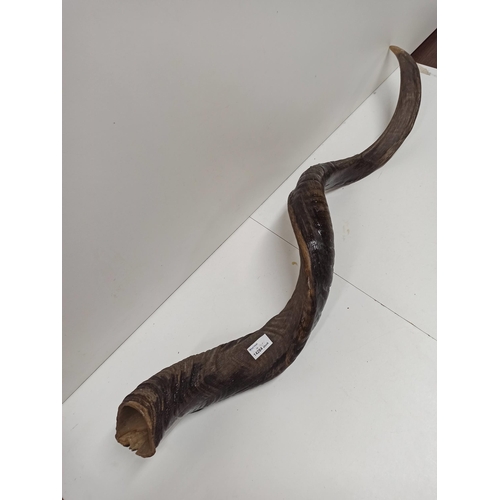 1022 - A Large Antler/Horn.