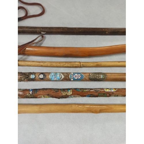 326 - Assorted Walking Sticks