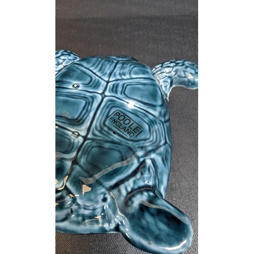 834 - A Poole Pottery Tortoise - Dolphin Blue