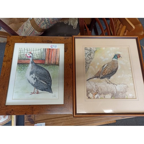 1288 - Guinea Fowl and Pheasant Pictures