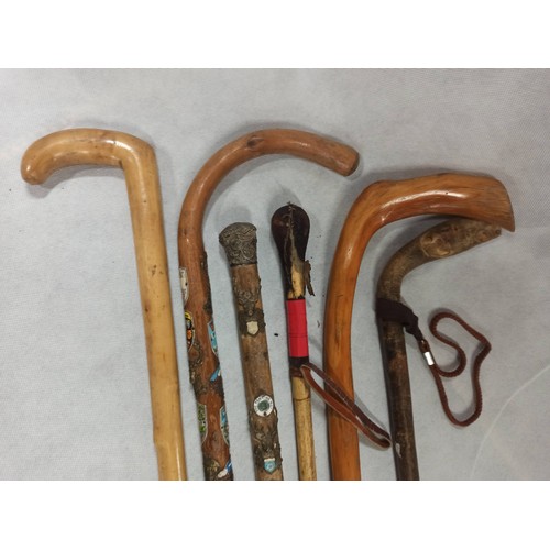 326 - Assorted Walking Sticks