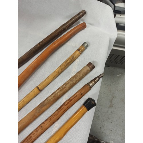 326 - Assorted Walking Sticks