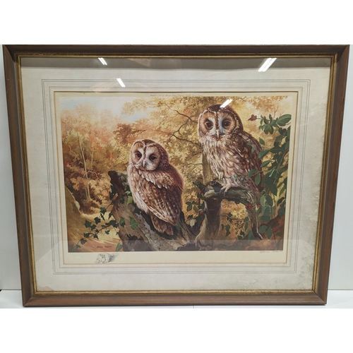 458 - A Large Limited Edition Print of Owls by Spencer Roberts 85 x 70cm