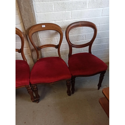 569 - 4 x Antique Balloon Back Chairs