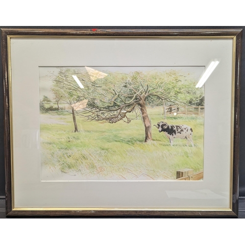 1144 - An Original Watercolour of a  Jacob Ram Signed Antoine 58 cm x 46cm