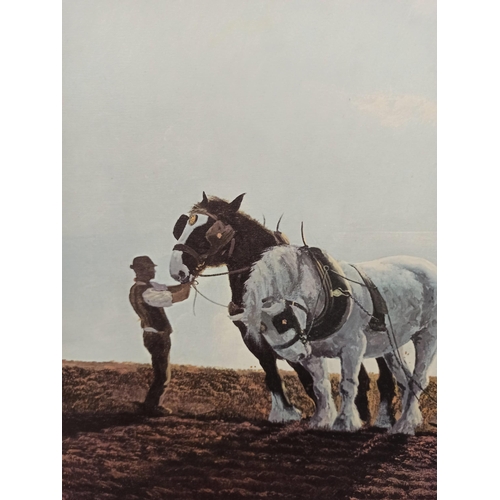 1150 - A Coulson Plough Horse Print 